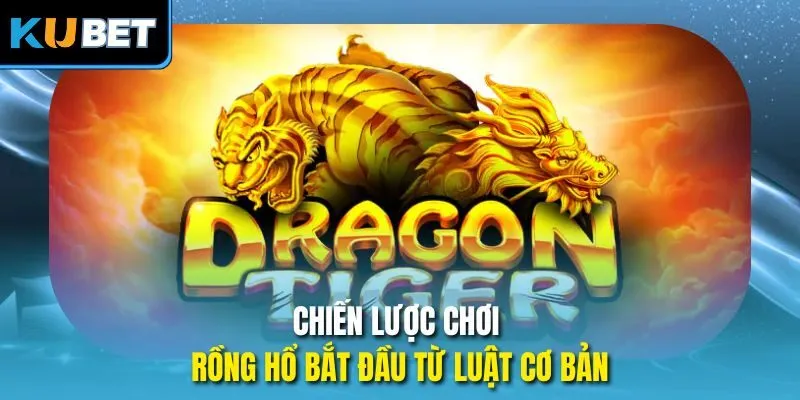 Chiến lược chơi Rồng Hổ bắt đầu từ luật cơ bản